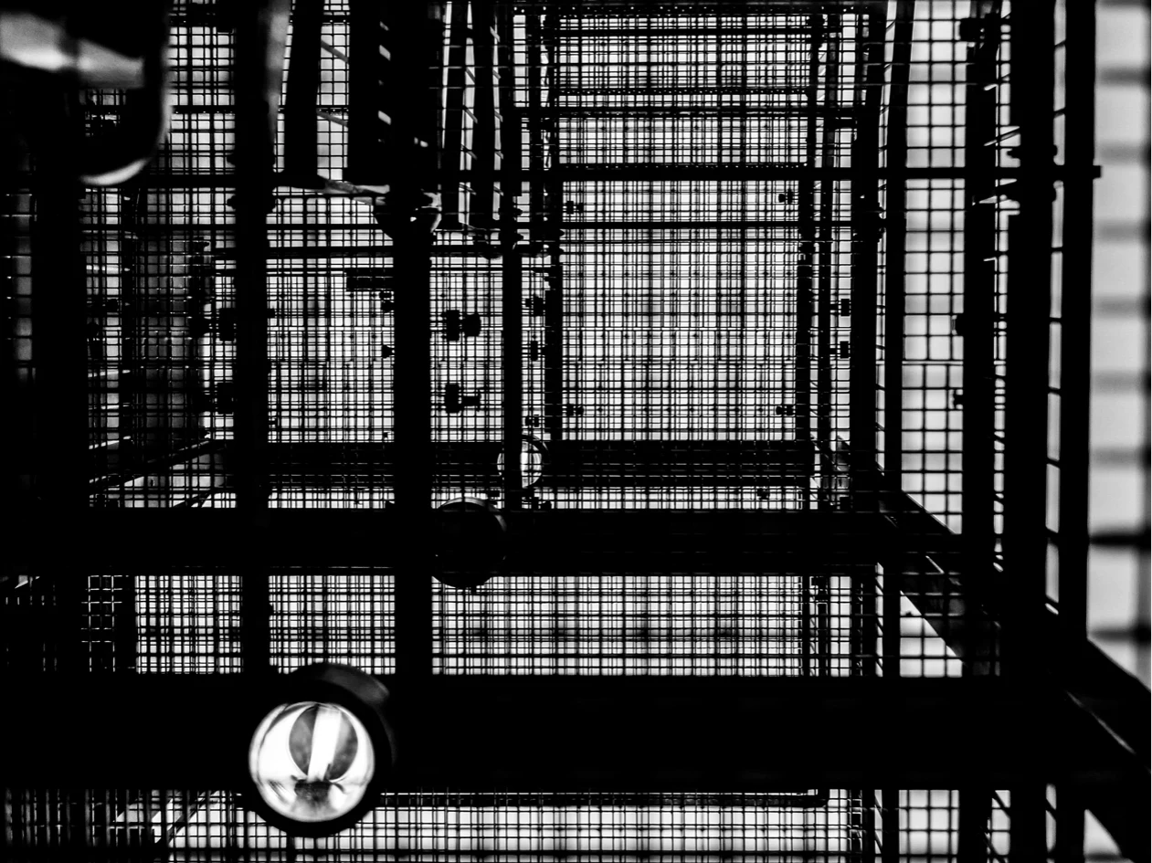 Fotografische Reise